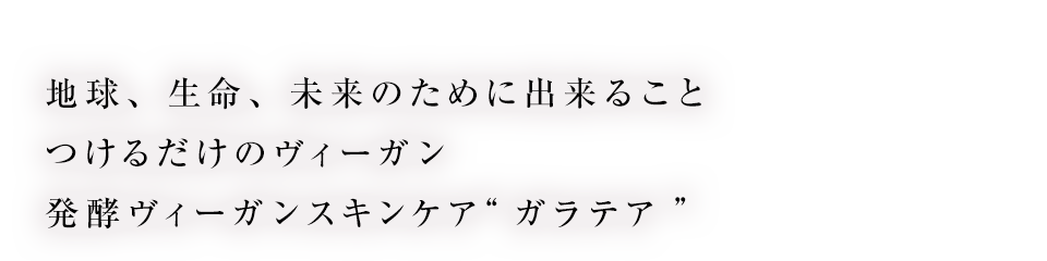 株式会社ステラルクス